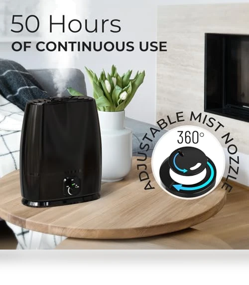 Cool Mist Humidifier — Air Moisturizers, Everlasting Comfort