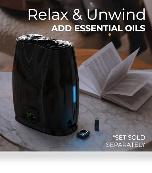 Cool Mist Humidifier — Air Moisturizers, Everlasting Comfort