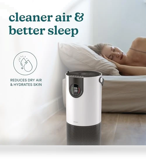 2-in-1 Cool Mist Humidifier & Air Purifier — Air Moisturizers, Homedics