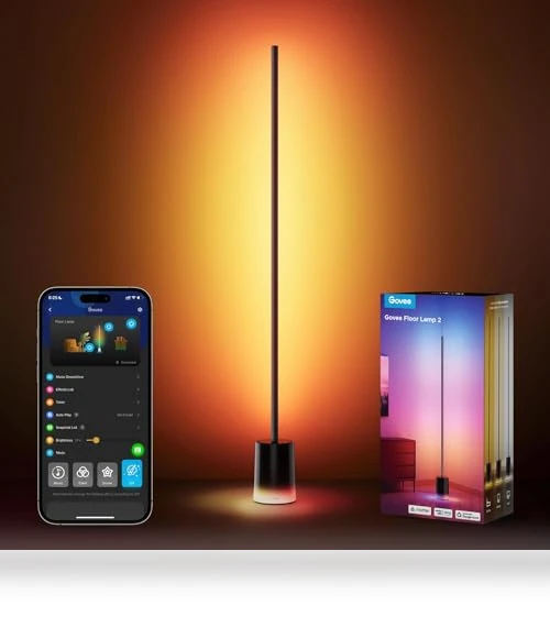 Floor Lamp 2 with Matter, RGBIC, Warm Cool White LED — LED, Govee