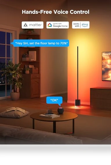 Floor Lamp 2 with Matter, RGBIC, Warm Cool White LED — LED, Govee