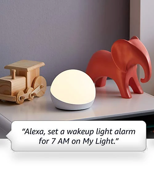 Multicolor smart lamp — Lighting Solutions, Echo