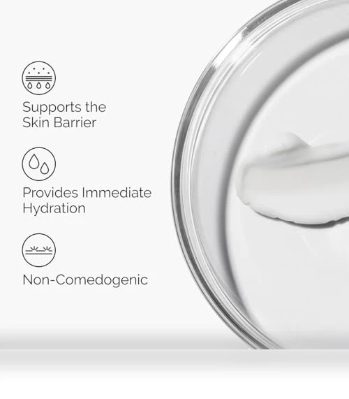 Natural Moisturizing Factors + Hyaluronic Acid — Beauty & Personal Care, DECIEM