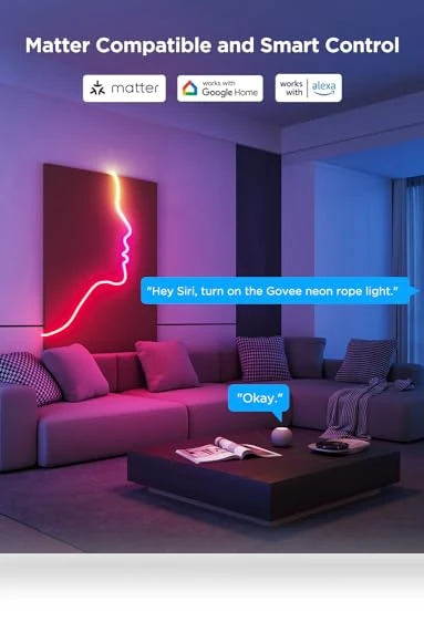 RGBIC Neon Lights — Wall Lighting, Govee