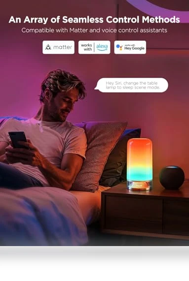 RGBIC Smart Table Lamp — LED, Govee