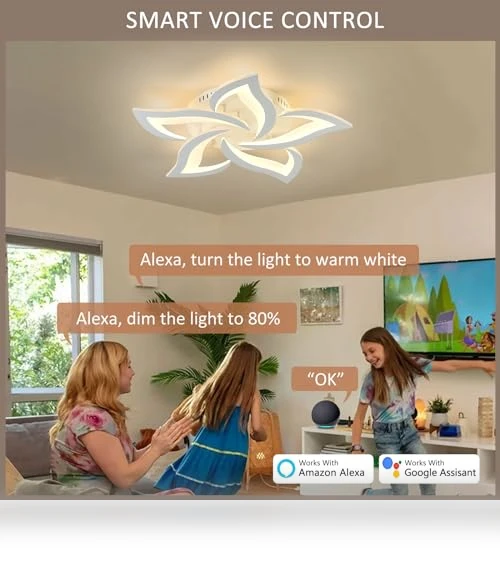 Smart Ceiling Light Fixture — LED, SKY ANGLE