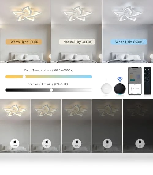 Smart Ceiling Light Fixture — LED, SKY ANGLE
