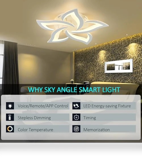 Smart Ceiling Light Fixture — LED, SKY ANGLE