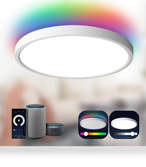 Smart Ceiling Light Flush Mount LED WiFi — Overhead Lighting, TALOYA