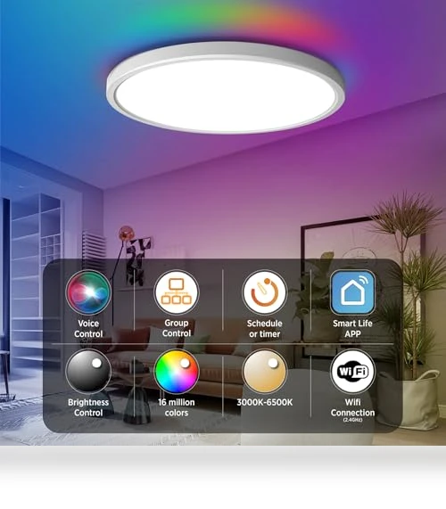 Smart Ceiling Light Flush Mount LED WiFi — Overhead Lighting, TALOYA