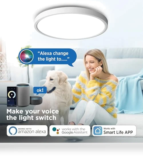 Smart Ceiling Light Flush Mount LED WiFi — Overhead Lighting, TALOYA