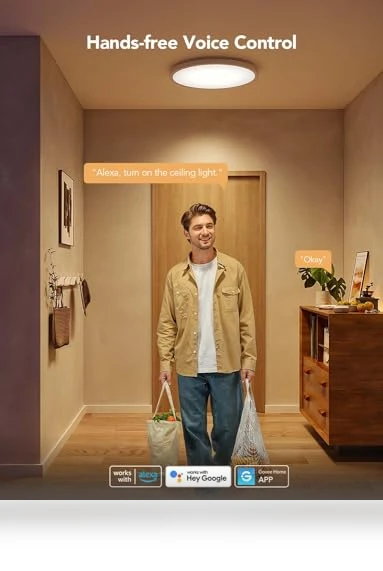Smart Ceiling Light — Overhead Lighting, Govee