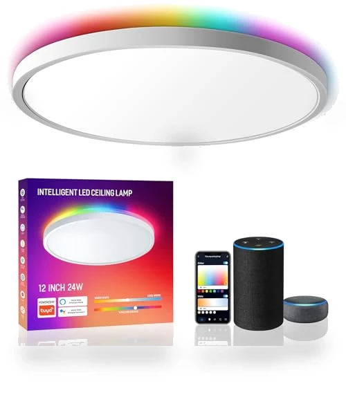 Smart LED Ceiling Light Flush Mount — LED, MELEGAN