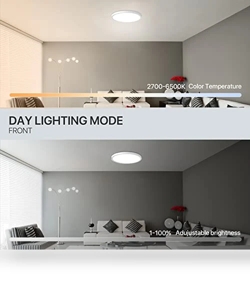 Smart LED Ceiling Light Flush Mount — LED, MELEGAN