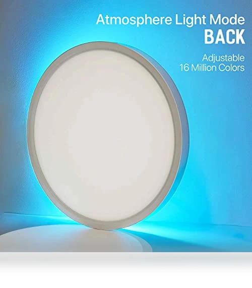 Smart LED Ceiling Light Flush Mount — LED, MELEGAN