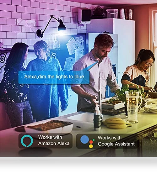 Smart Light Bulbs — LED, DAYBETTER