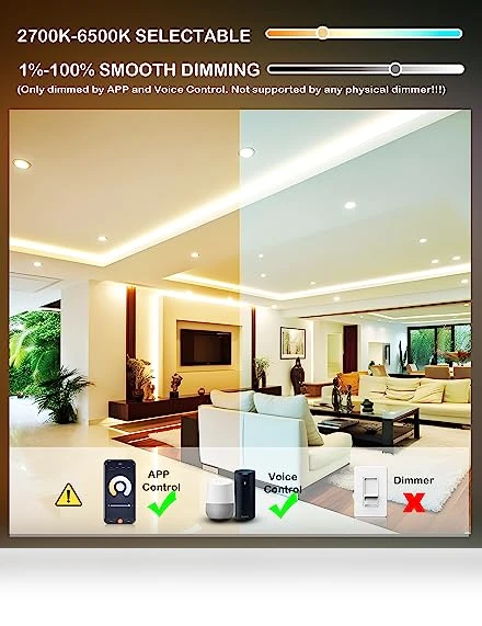 Smart WiFi LED Recessed Lights — LED, CLOUDY BAY