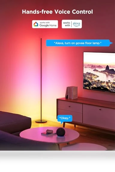 RGBIC Floor Lamp 2-Pack — LED, Govee