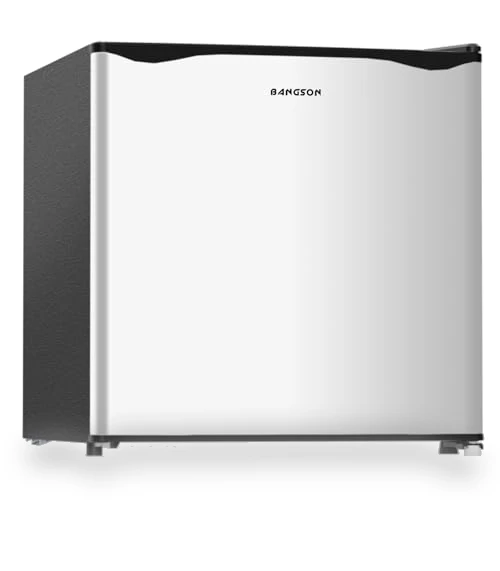 Small Refrigerator with Freezer — Mini Fridges, BANGSON