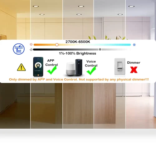 Smart WiFi LED Recessed Lights — LED, CLOUDY BAY