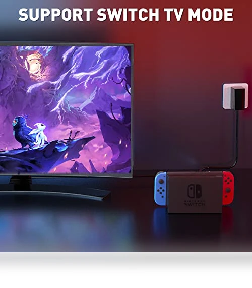 USB Type C Charger for Nintendo Switch — Connectors & Cables, Shenzhen HongYeChange Keji Youxiangongsi