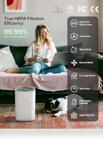 Air Purifier for Home Bedroom Large Room — Electrostatic Air Purifiers