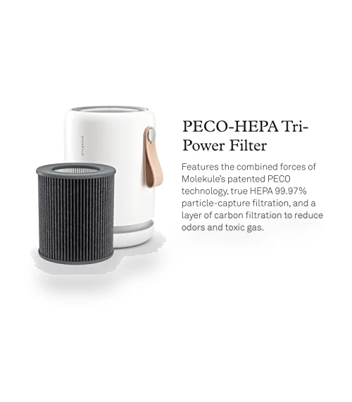 Air Purifier for Small Home Rooms — Activated Carbon Air Purifiers, Molekule