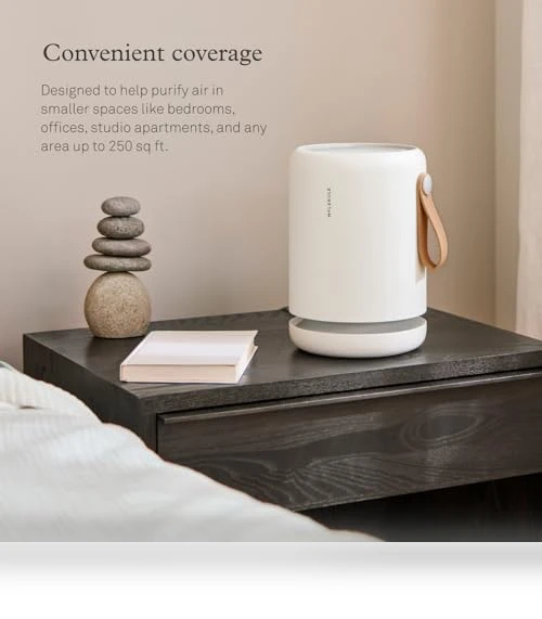 Air Purifier for Small Home Rooms — Activated Carbon Air Purifiers, Molekule
