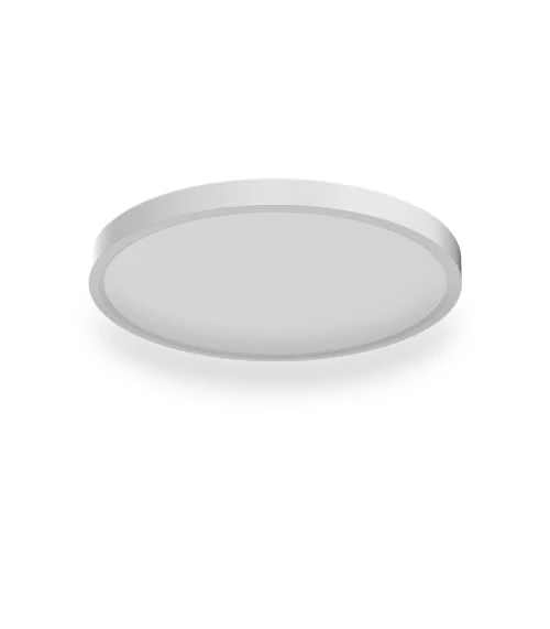 Flush Mount Ceiling Light — Close To Ceiling, TALOYA