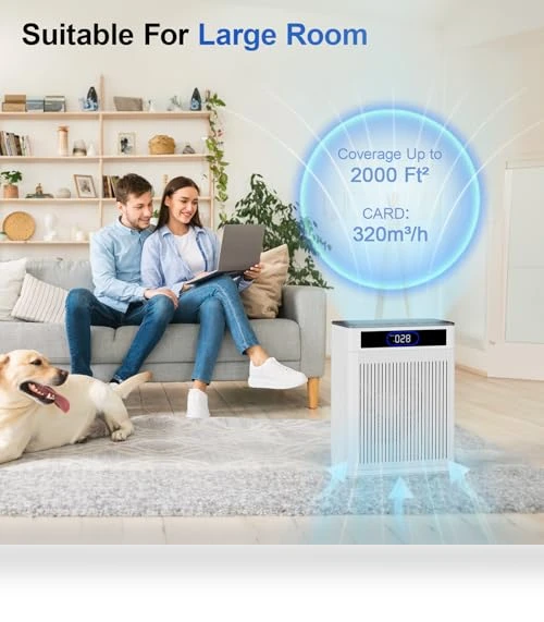 HEPA Air Purifier for Large Rooms — Activated Carbon Air Purifiers, AJR