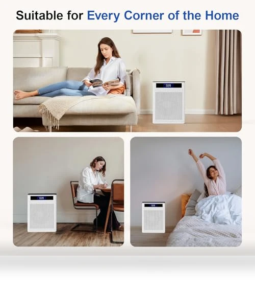 HEPA Air Purifier for Large Rooms — Activated Carbon Air Purifiers, AJR