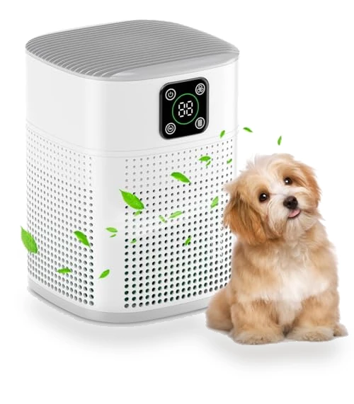 HEPA Air Purifier — Electrostatic Air Purifiers, Honeyuan