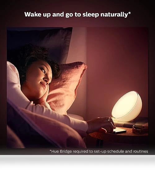 Smart Portable Dimmable Table Lamp — Lighting Solutions, Philips Hue