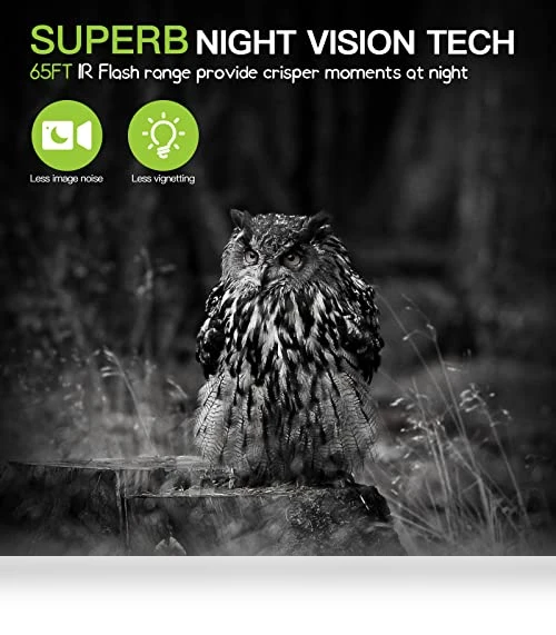Trail Camera 2 Pack — Outdoor Security Cameras, Punvoe