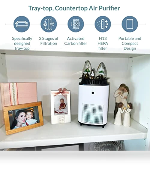 Tray-top Countertop Air Purifier — Activated Carbon Air Purifiers, Purafide