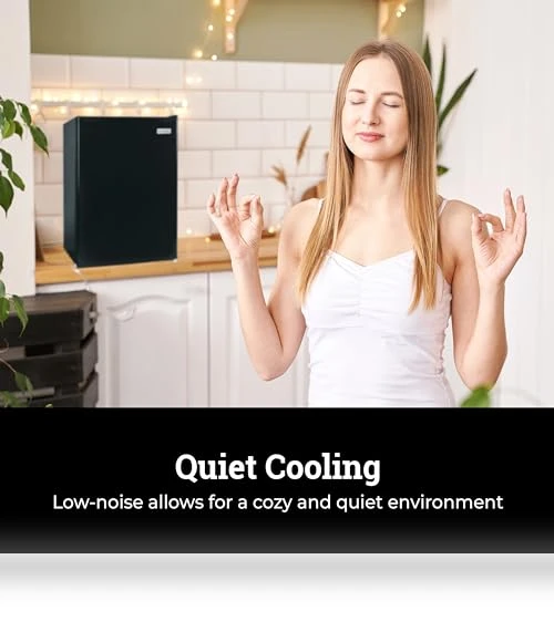 Compact Refrigerator with Freezer — Mini Fridges, Igloo