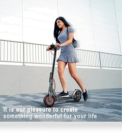 Electric Scooter — Electric Vehicles, Roinside