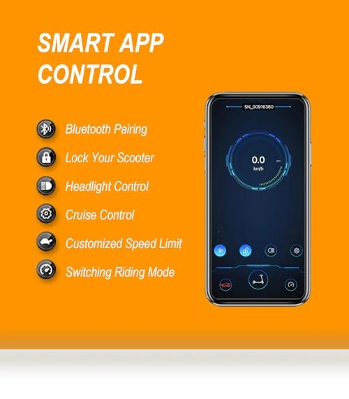 Electric Scooter — Electric Vehicles, NAVIC