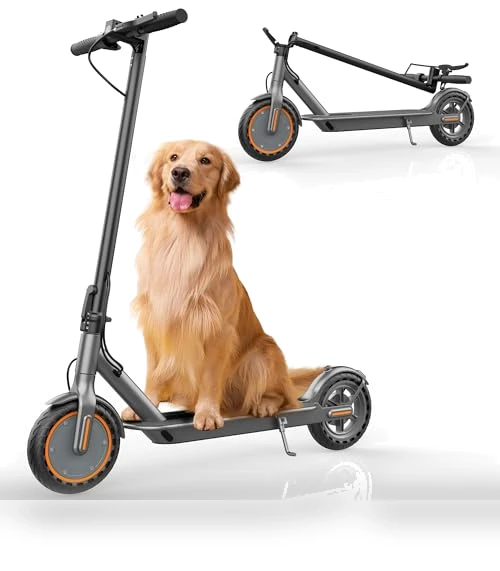 Folding Electric Scooter — Electric Vehicles, sigravy