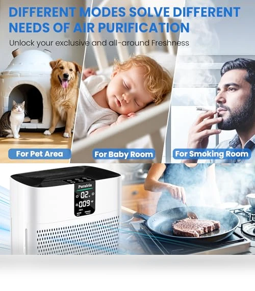 HEPA Air Purifier for Large Rooms — HEPA Air Purifiers