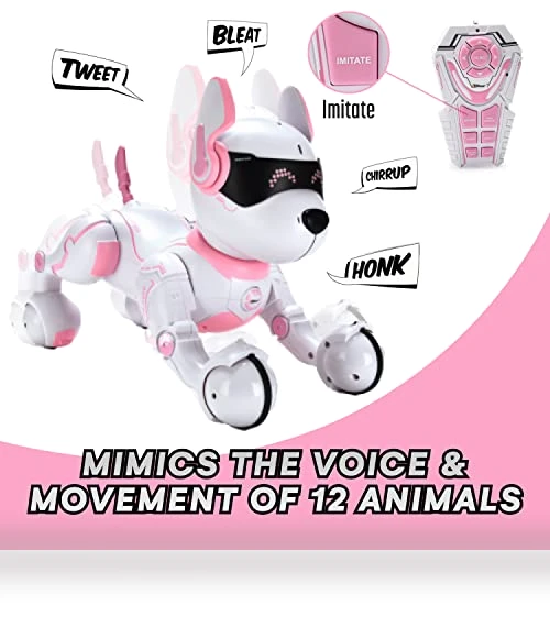 Pink Robot Dog — Interactive Figures & Robots, Top Race
