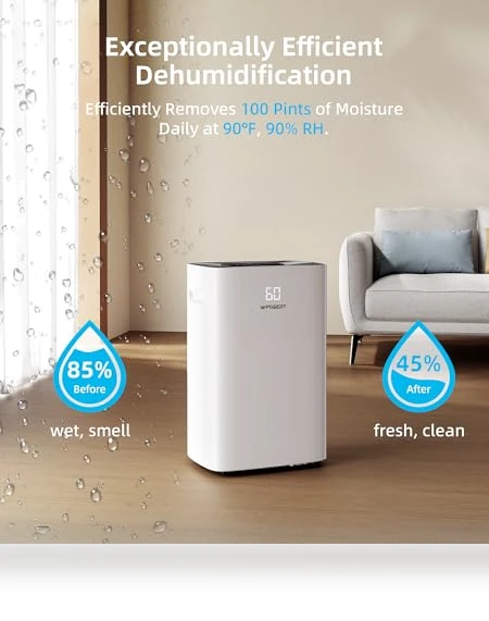 Dehumidifier for Home and Basement — Air Moisture Control