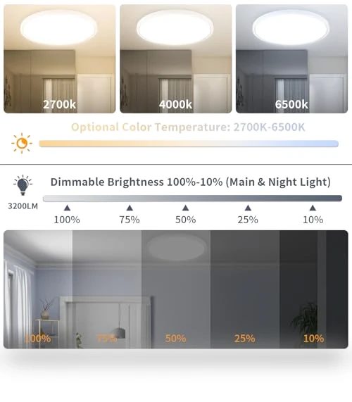 Flush Mount Ceiling Light Fixtures with Remote Control & Night Lights — Close To Ceiling, Highxin