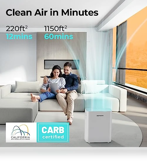 Smart Air Purifier for Home — Electrostatic Air Purifiers, Homvana
