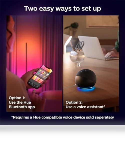 Smart Floor Lamp — LED, Philips Hue