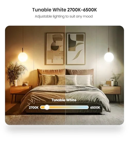 Smart Light Bulbs — Lighting Solutions, TREATLIFE