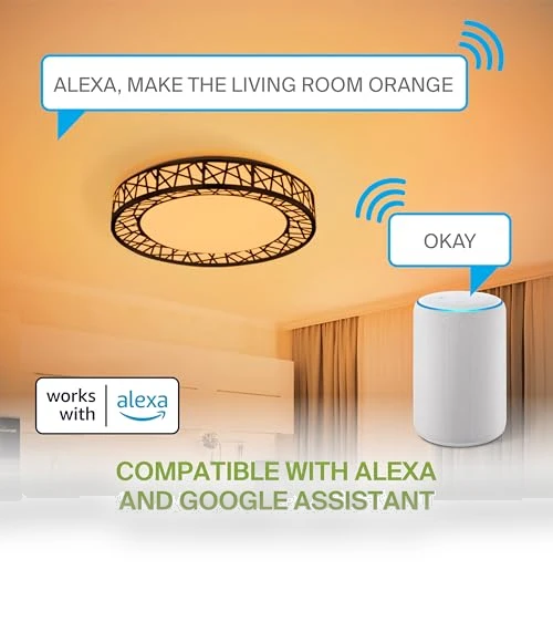 Smart RGBW Flush Mount Ceiling Light — LED, ASD