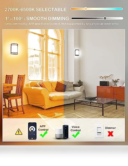 Smart WiFi LED Wall Sconce — Wall Lighting, CLOUDY BAY