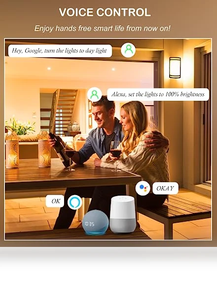 Smart WiFi LED Wall Sconce — Wall Lighting, CLOUDY BAY