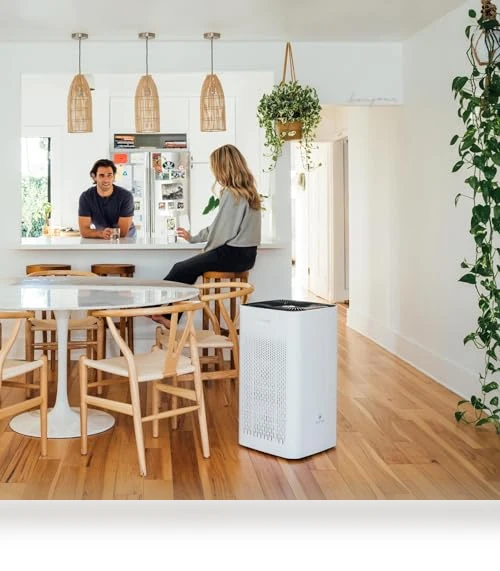 Air Purifier with True HEPA H13 Filter — HEPA Air Purifiers, Medify Air